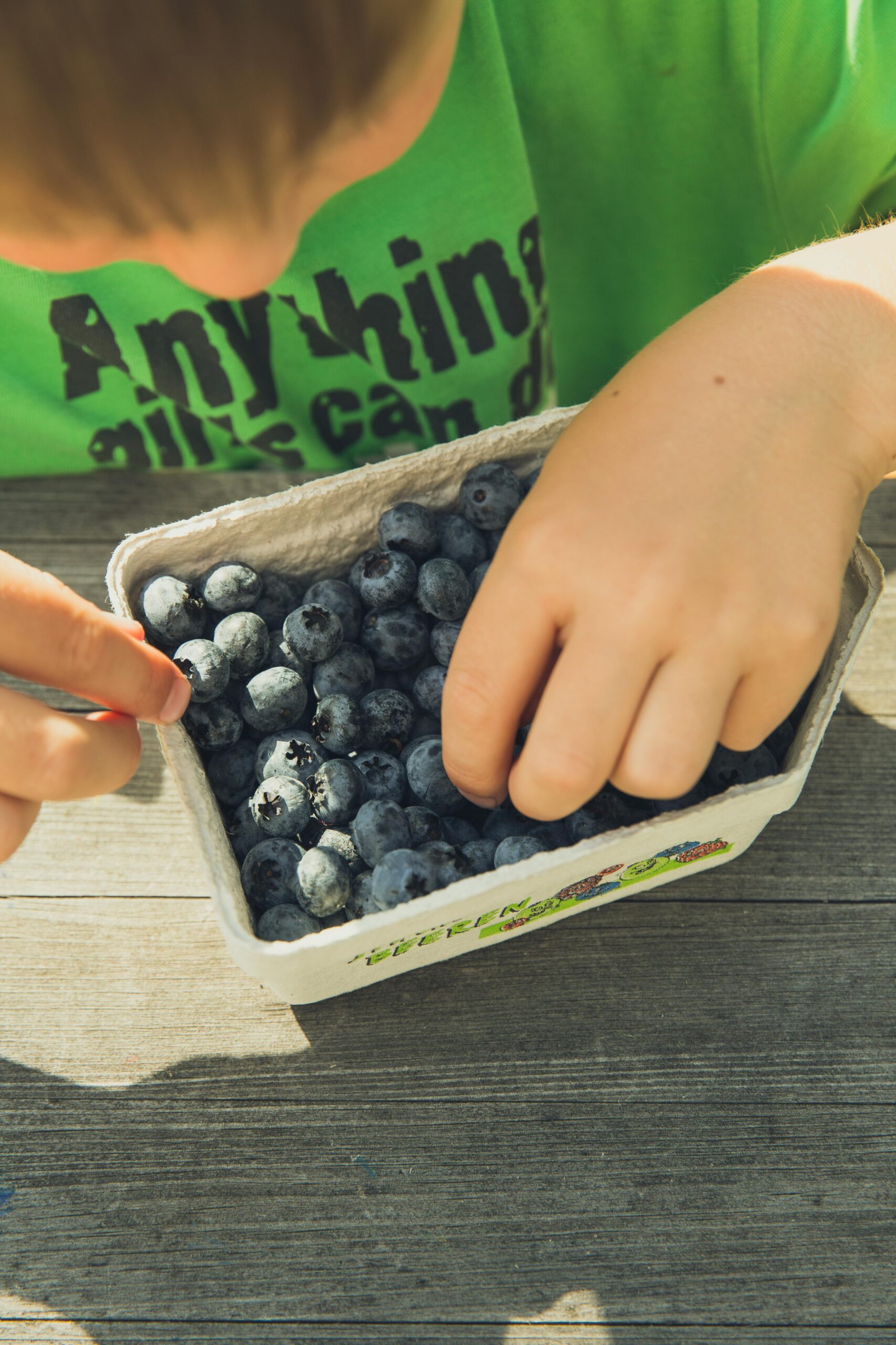 Ana Sayfa A young child picking fresh blueberries from a container outdoors on a sunny day.